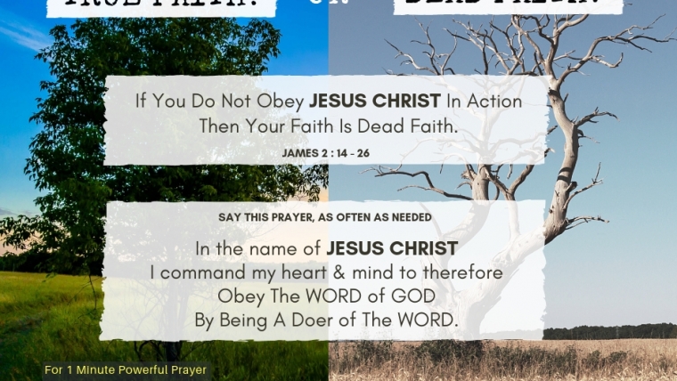 Is Your Faith True Faith Or Dead Faith